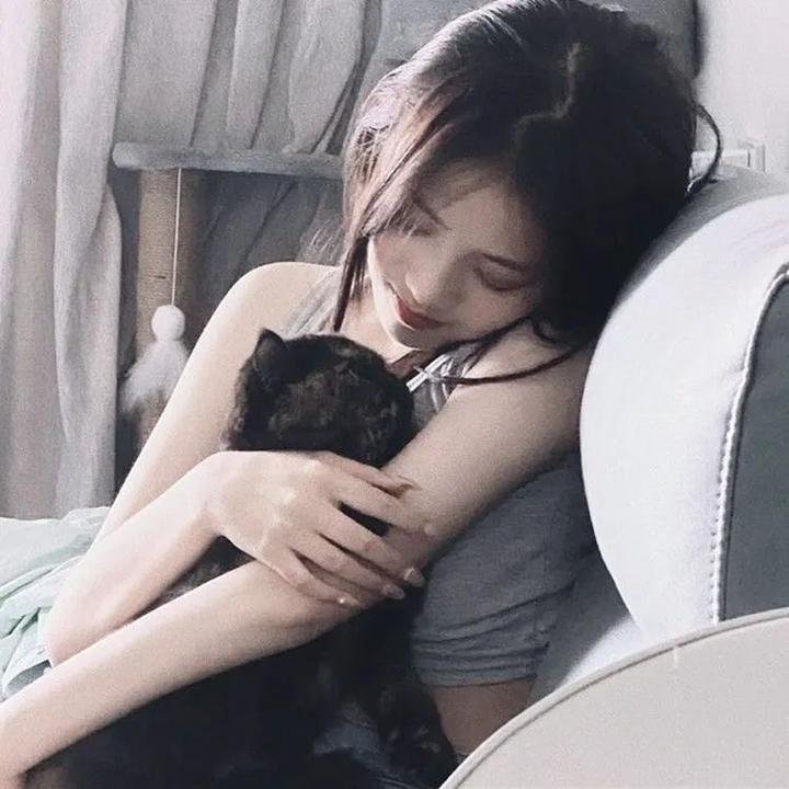 与谍同谋粤语